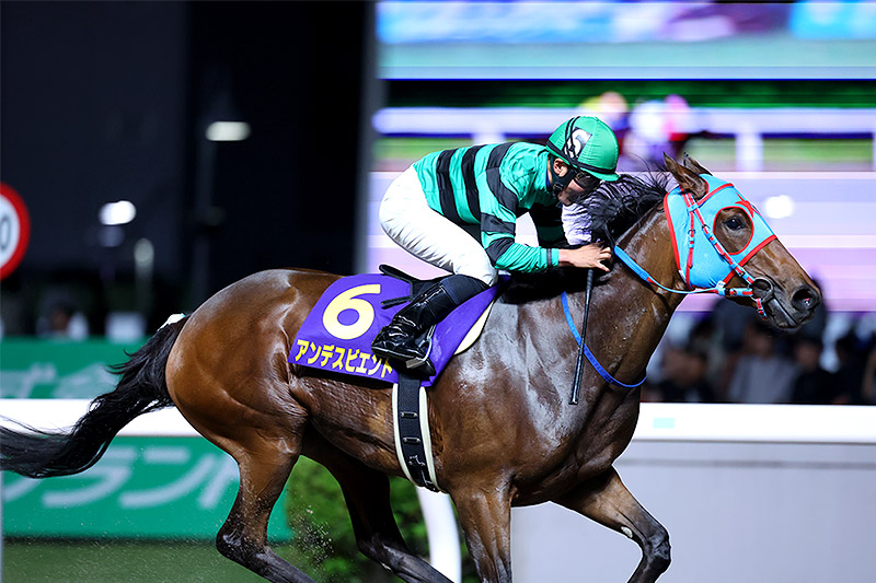2024年 アンデスビエント 地方ゆかりの人馬が重賞初制覇