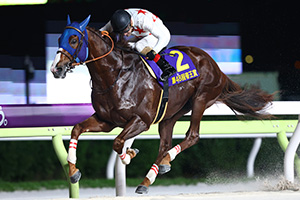 過去5年の競走成績 2025