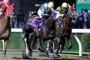 過去5年の競走成績 2023