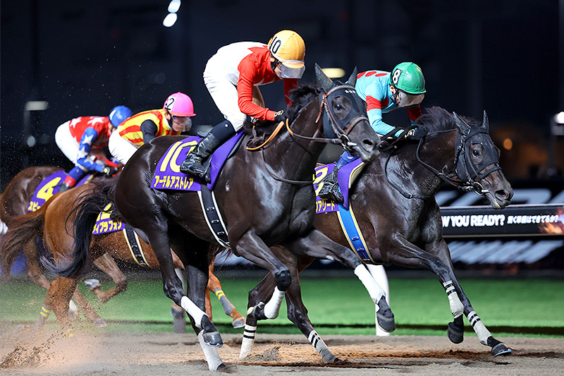 2024年 アーテルアストレア 直線勝負の末脚はじけ重賞3勝目