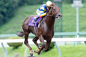 過去5年の競走成績 2024