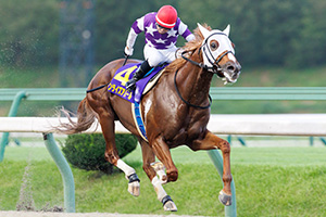 過去5年の競走成績 2025