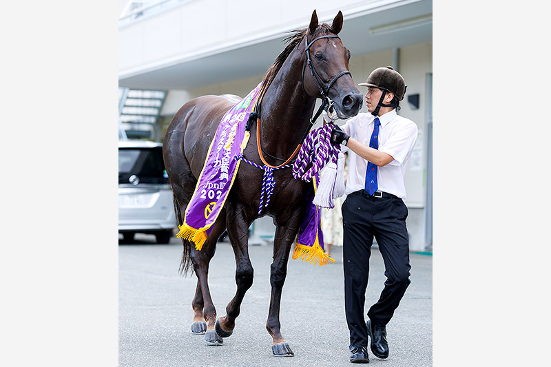 2024年 ドンフランキー　スローの逃げで押し切る