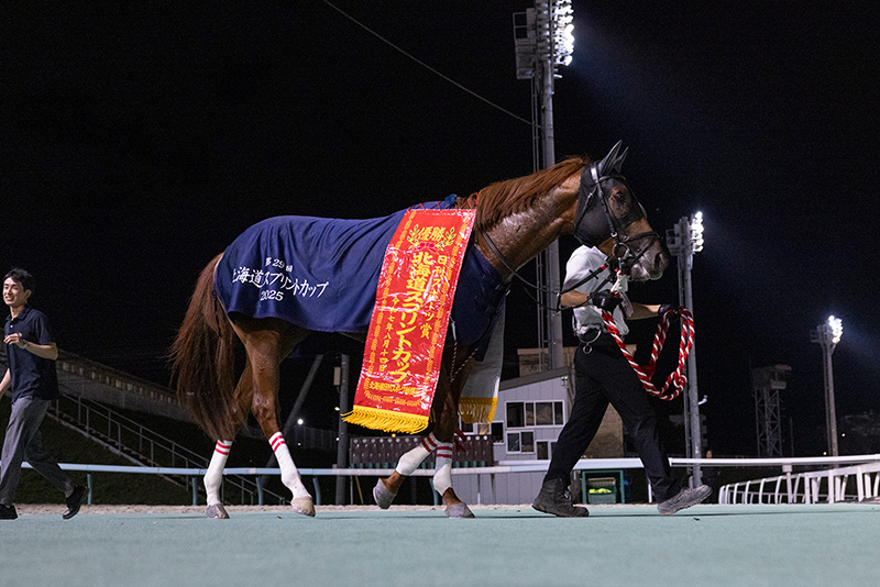 2025年 ヤマニンチェルキ　北海道の名手がダートグレード初制覇に導く