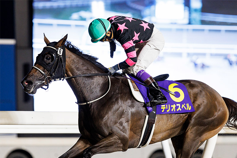 2023年 テリオスベル タフな馬場を味方に4馬身差圧勝