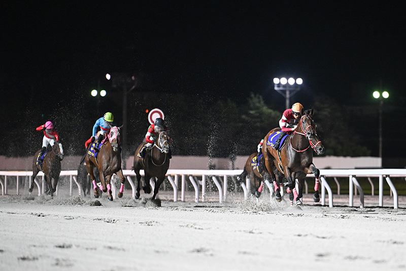 2025年 フォーエバーヤング 盤石の競馬で、いざ世界へ