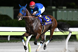 過去5年の競走成績 2025
