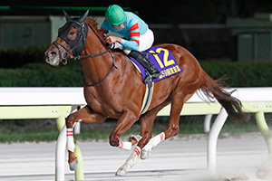 過去5年の競走成績 2025