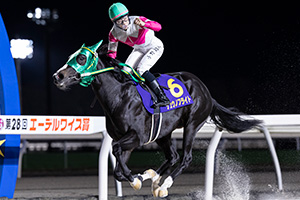 過去5年の競走成績 2025