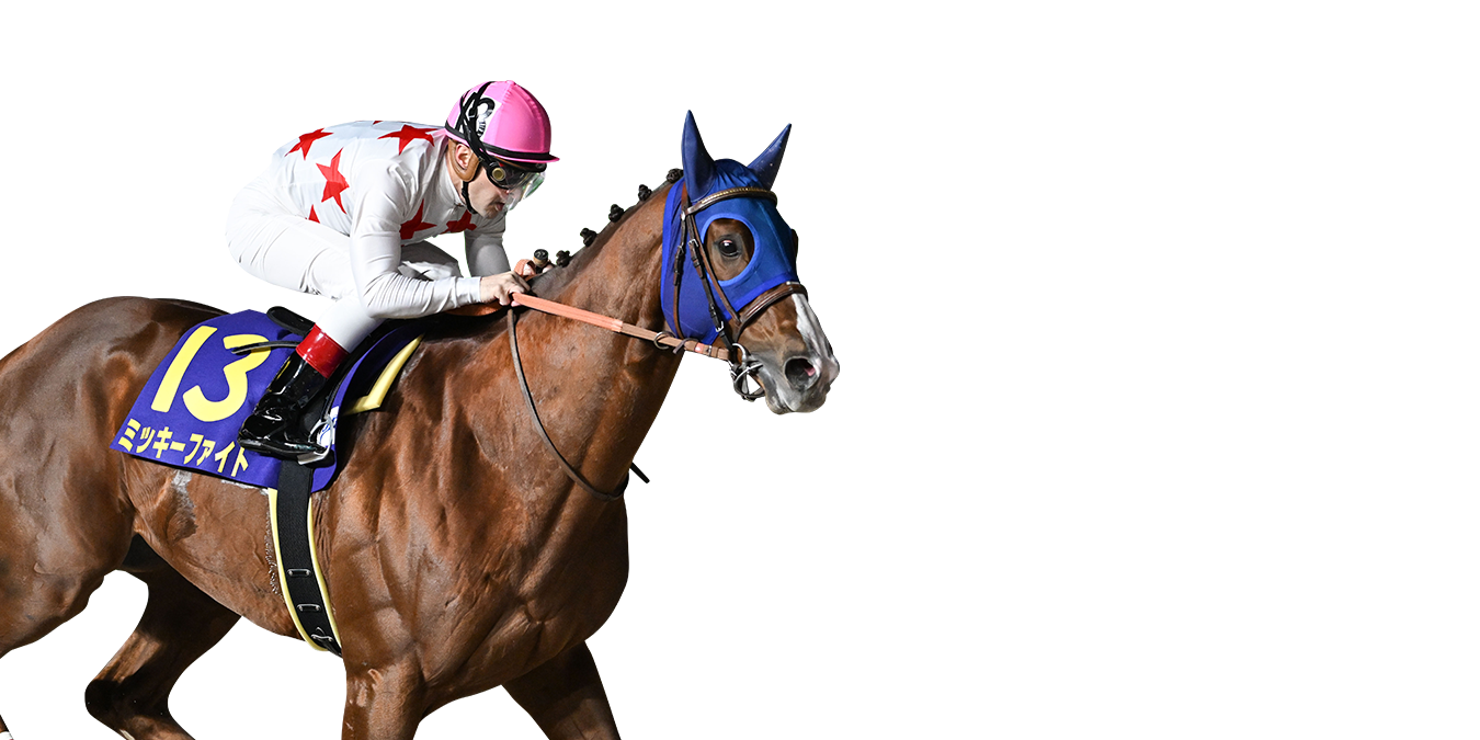注目馬情報｜JBCクラシック 2026年｜ダートグレード競走特設サイト