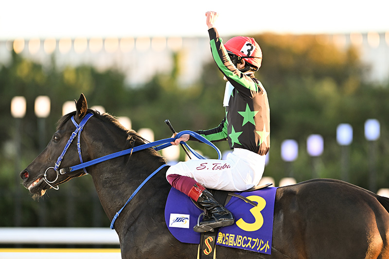 2025年 ファーンヒル　重賞3連勝で一気にJpnI初制覇