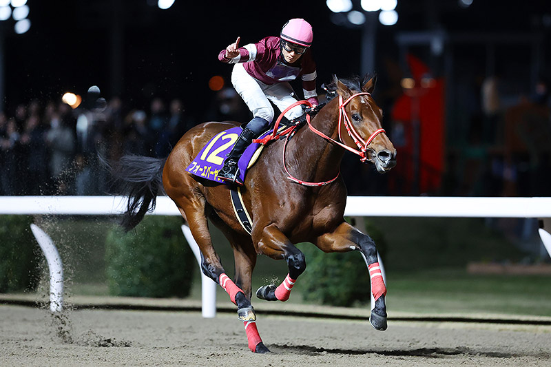 2023年 フォーエバーヤング 先行策から突き放し7馬身差