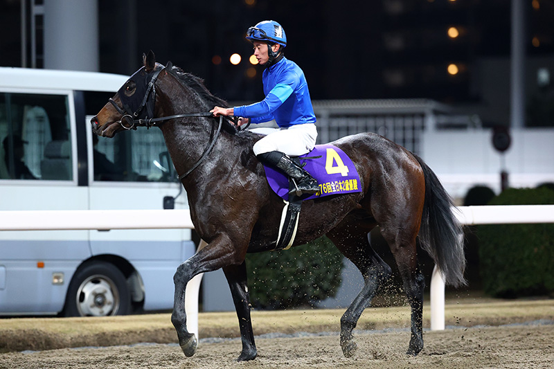 2025年 パイロマンサー 無敗の3連勝でJpnI制覇
