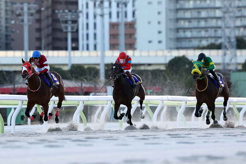 2024年 フォーエバーヤング　断然人気にこたえ古馬を一蹴