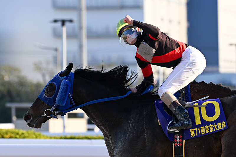 2025年 ディクテオン　地方馬20年ぶりの勝利