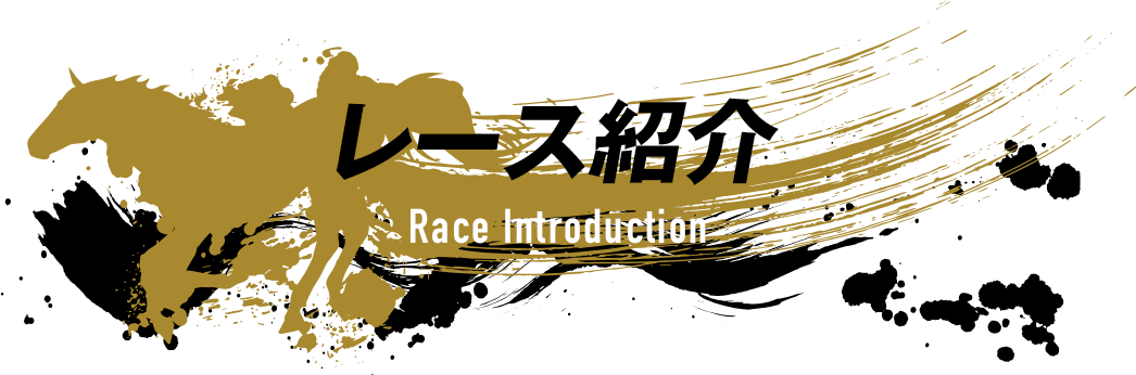 レース紹介 Introduction