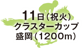 クラスターカップ