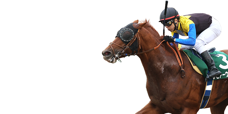 ダートグレード競走特設サイト