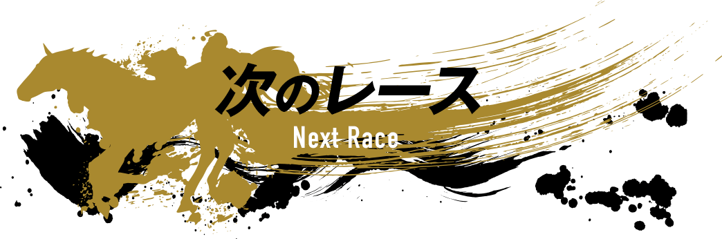 次のレース Next Race