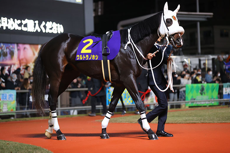 全日本2歳優駿　パドック