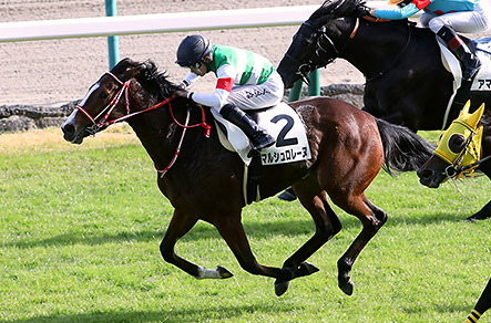 3歳以上1勝クラス 1着 写真