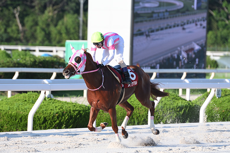 ベストグリーン(鎌倉記念)