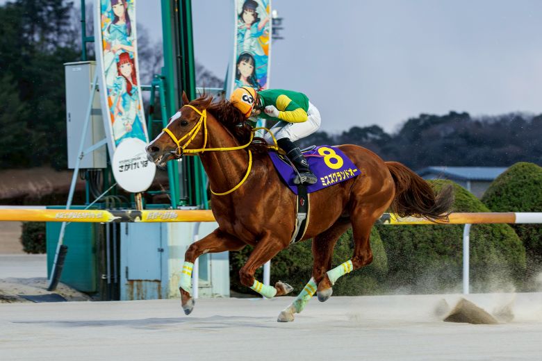 ミスズグランドオー(ゴールドスプリント)