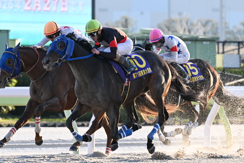 ディクテオン（東京大賞典)