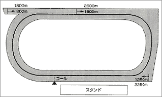 走路