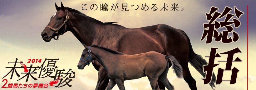 未来優駿 総括 タイトル