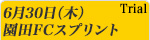 園田FCスプリント