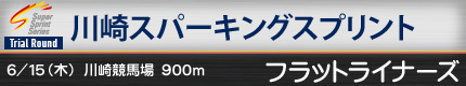 川崎スパーキングスプリント