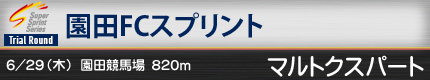 園田FCスプリント