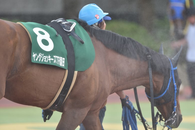 第1回　2017年競馬　YJS 限定ブルゾン 藤田菜七子 直筆サイン ＋タオル