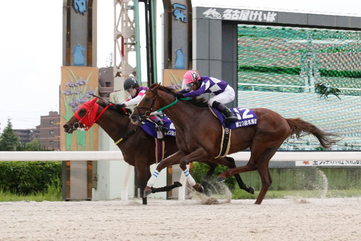 競馬 LJS2025 騎手服キーホルダーセット（ばんえい2名含全11名女性騎手） 競馬 LJS2025 騎手服キーホルダーセット（ばんえい2名含全11名女性騎手