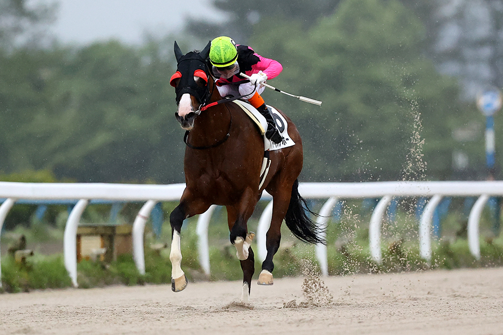 第5回石川ダービー｜web Furlong