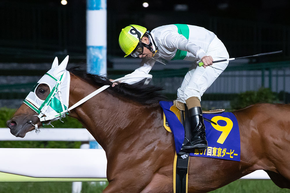 第67回東京ダービー Web Furlong 第67回東京ダービー Web Furlong