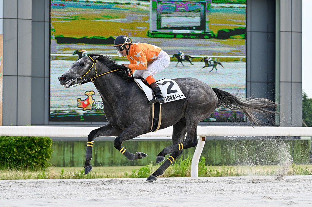 第51回東海ダービー Web Furlong