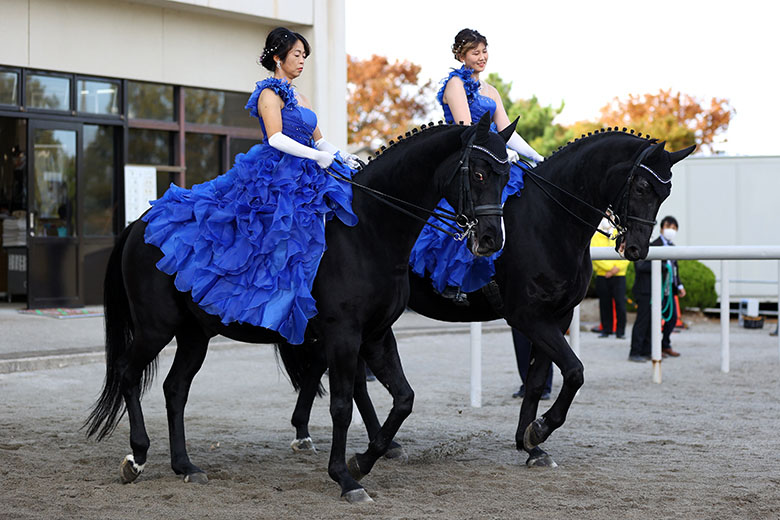 JRA単勝馬券【ハルカナルタビジ 小倉競馬2回5日2レース】2001年7月28日-