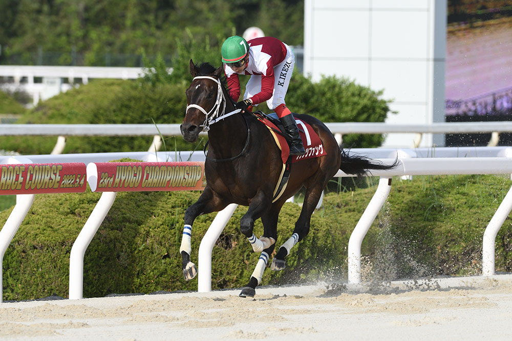 第23回兵庫チャンピオンシップJpnII｜web Furlong