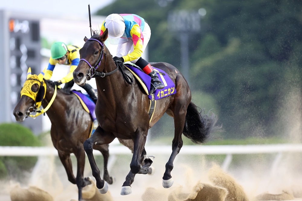 第64回九州ダービー栄城賞 Web Furlong 第64回九州ダービー栄城賞 Web Furlong