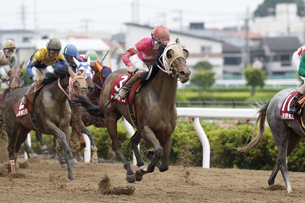 チャンピオンジョッキー 楽天市場】チャンピオンジョッキーの通販