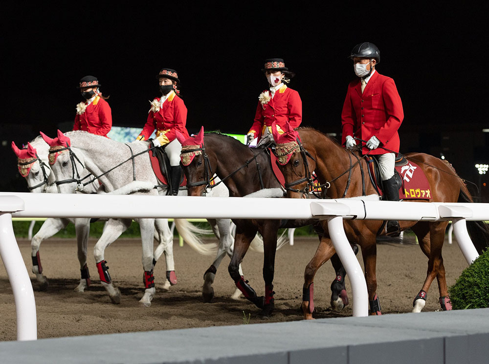 高橋華代子の（続）気になるあの馬は…｜web Furlong