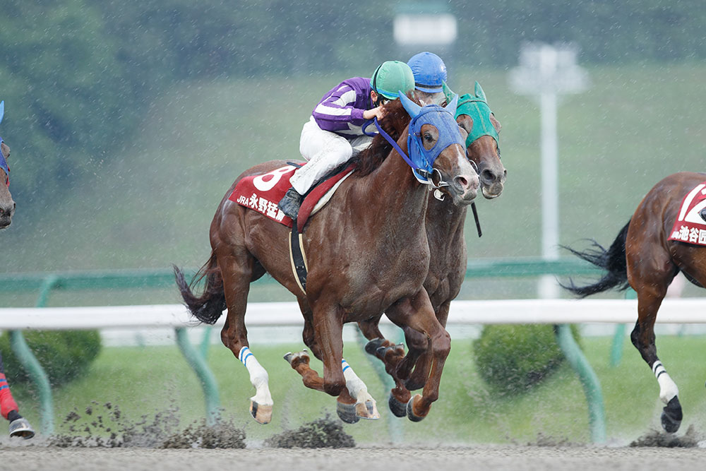ヤングジョッキーズシリーズ2018YJS JRA 限定ジャケット ヤングジョッキーズシリーズTR 門別｜web Furlong