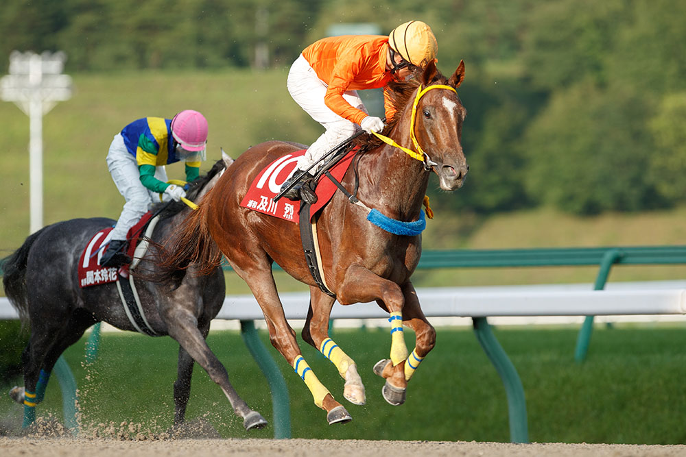 第1回　2017年競馬　YJS ヤングジョッキーシリーズ 限定ブルゾン/タオル 2021ヤングジョッキーズシリーズ トライアルラウンド高知
