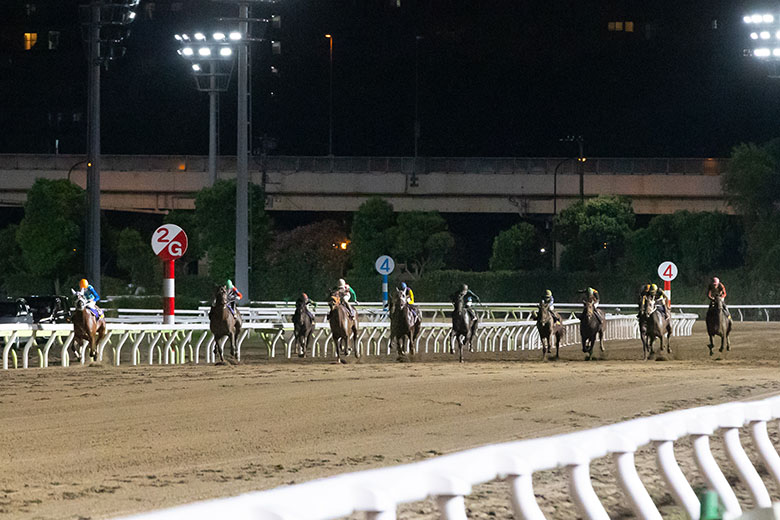 第56回黒潮盃｜web Furlong