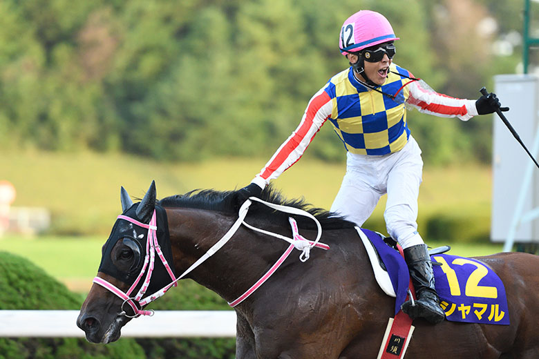 第22回サマーチャンピオンJpnIII｜web Furlong