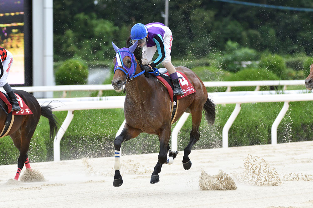 京都競馬場 即決！ 1初制覇 菊花賞 優勝 JRA