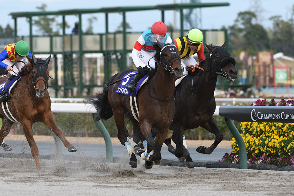 第23回チャンピオンズカップGI｜web Furlong