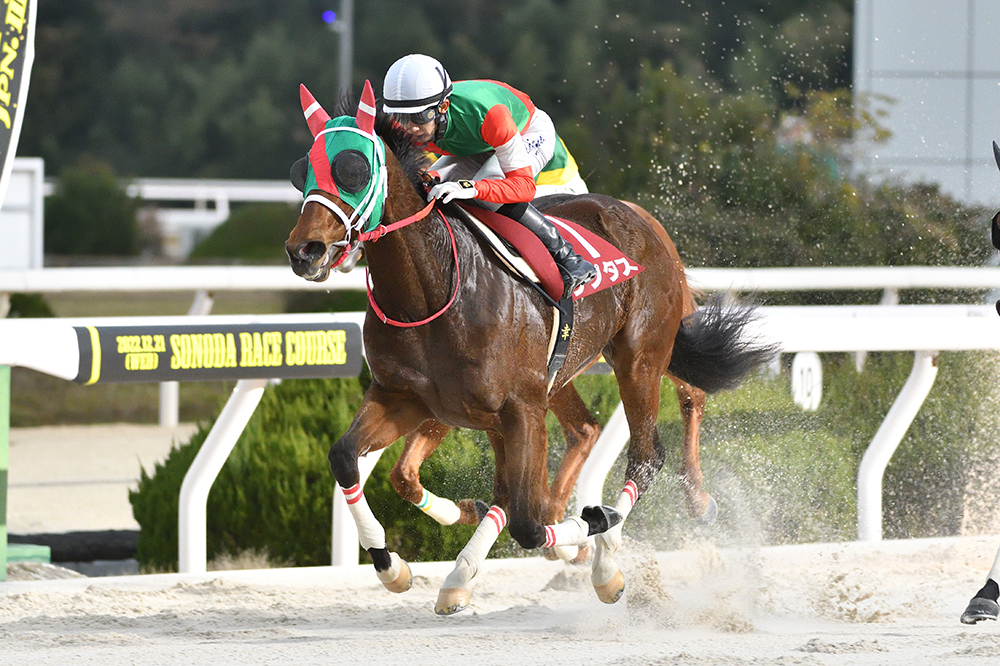 馬券単勝 ポルトフィーノ 新馬戦 札幌2歳S 追い切り】ショウナンガルフ札幌芝で62秒7 池添謙一